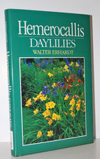 Hemerocallis Day Lilies