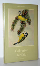 Colourful Birdlife