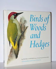 Birds of Woods and Hedges