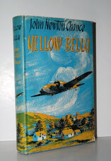 Yellow Belly