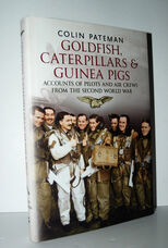 Goldfish Caterpillars and Guinea Pigs Second World War Aircrew Who