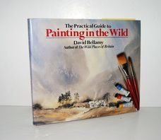 The Practical Guide to Painting in the Wild