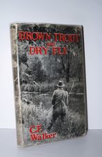 Brown Trout and Dry Fly