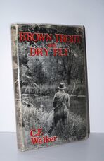 Brown Trout and Dry Fly