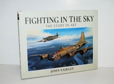Fighting in the Sky The Story in Art