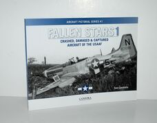 Fallen Stars 1 Crashed, Damaged & Captured Aircraft of the USAAF