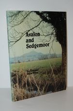 Avalon and Sedgemoor