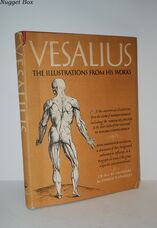 Vesalius the Illustrations from His Work