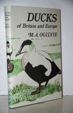 Ducks of Britain and Europe