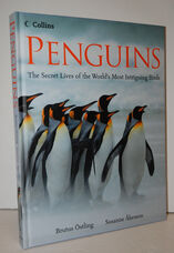 Penguins the Secret Lives of the World's Most Intriguing Birds